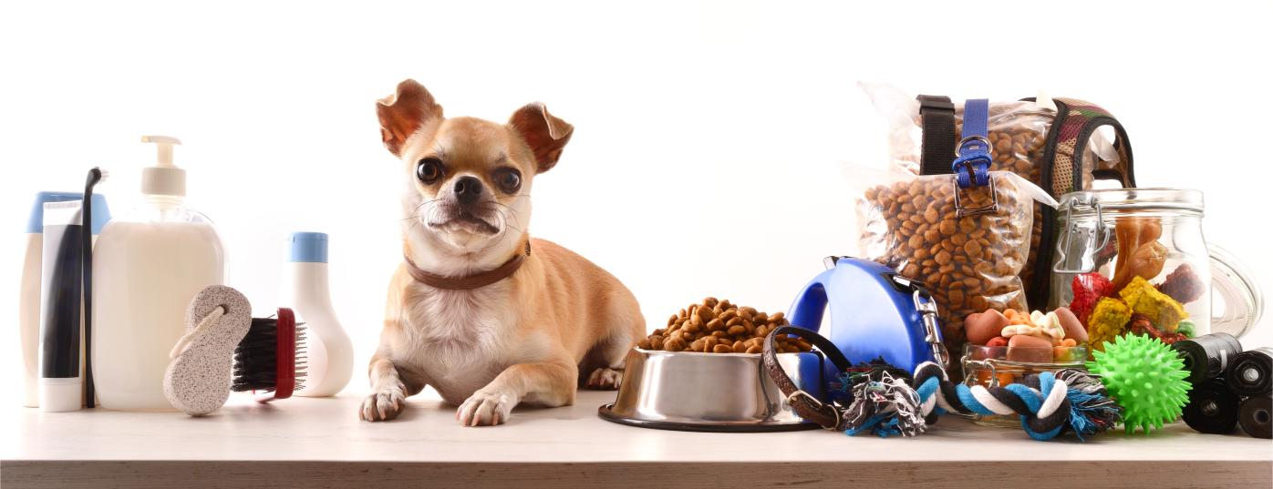 Dog with pet supplies